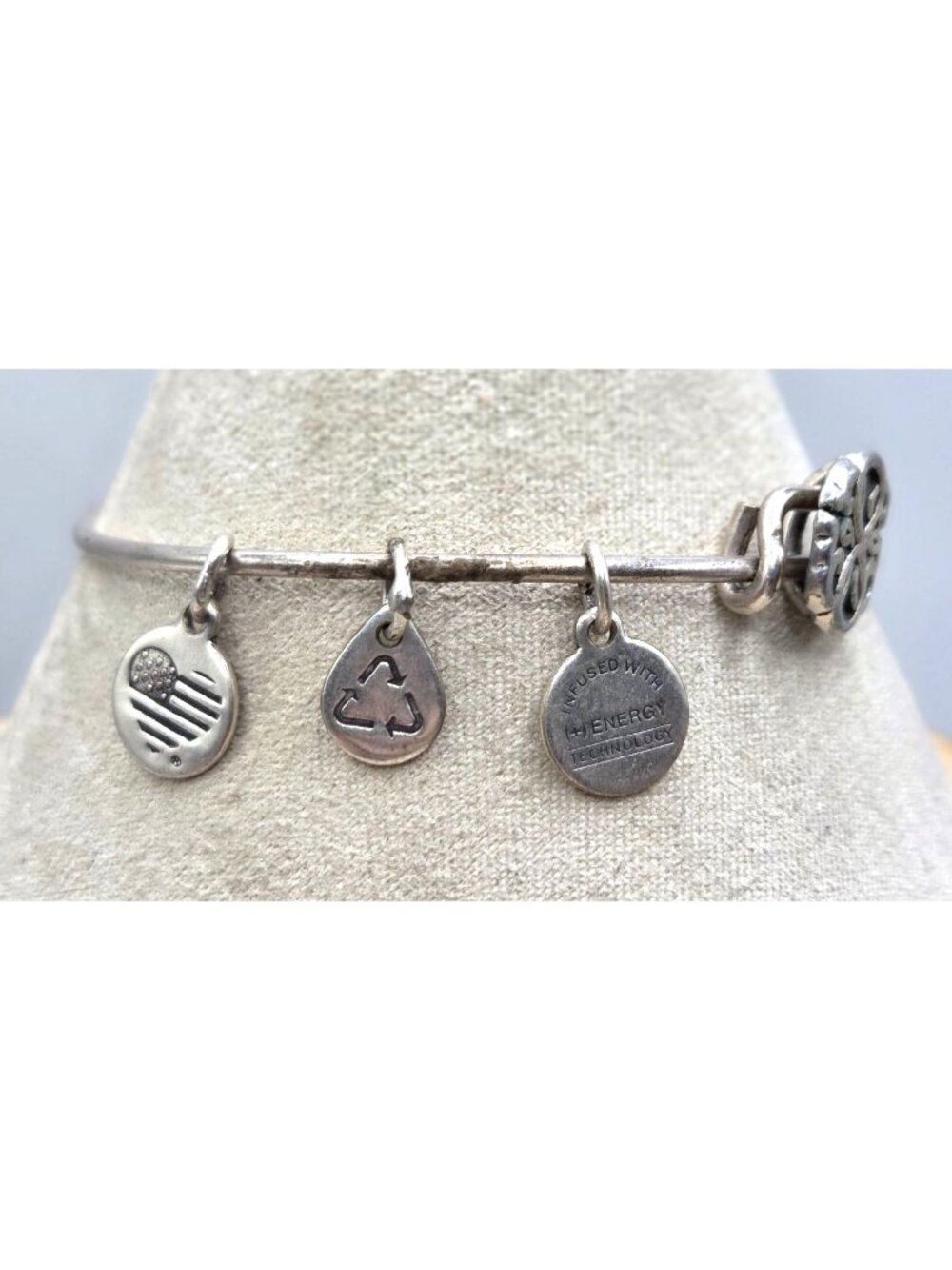 ALEX AND ANI Path Of Life Charm Bangle Bracelet - Rafaelian Silver